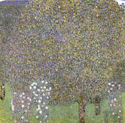 Rose Bushes Under the Trees, Gustav Klimt